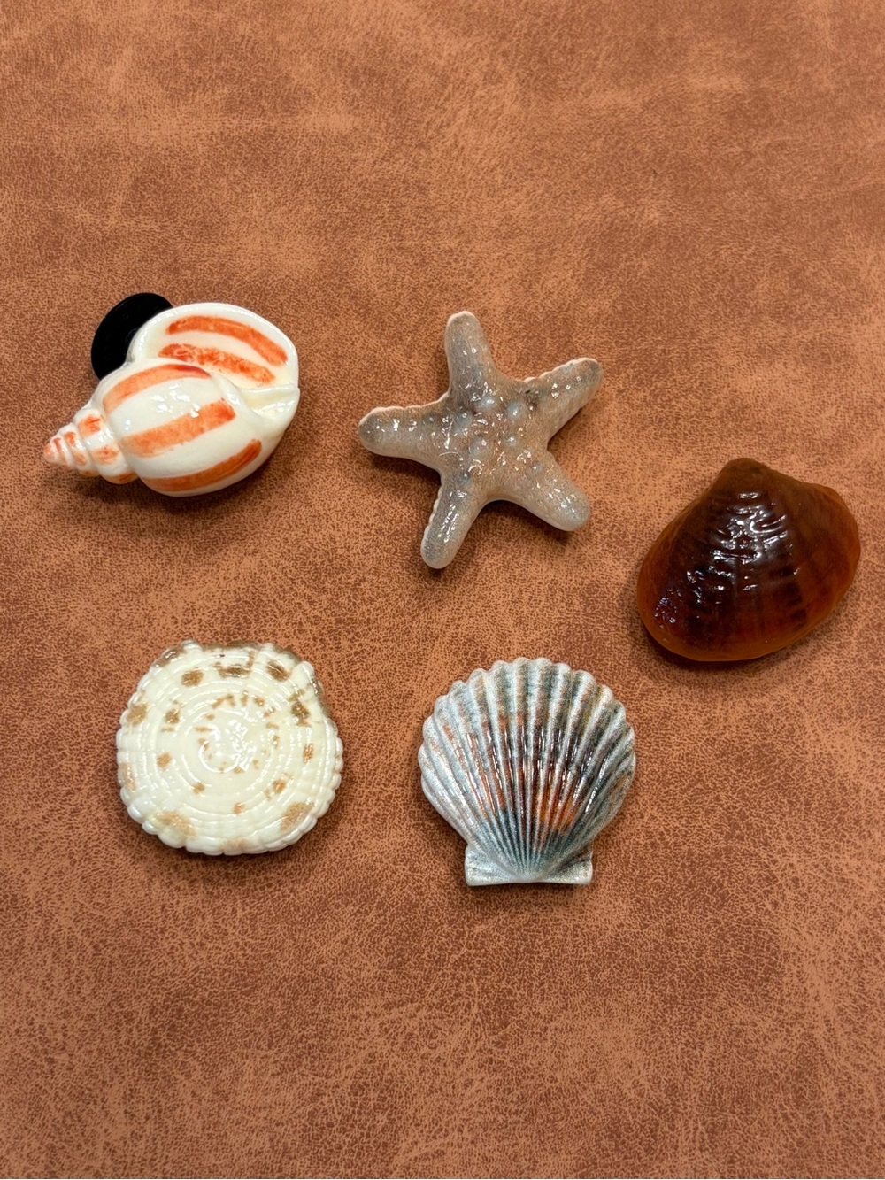 Crocs Jibbitz Seashells